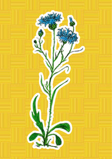 Fiordaliso, personaggio di «I Fiori di Catia n. 2» — illustrazione di Gabriele Rondini per Bookendipity