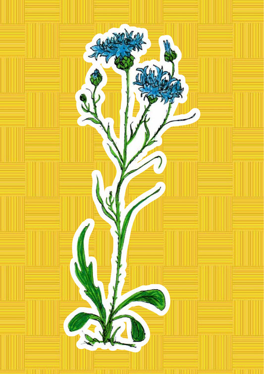 Fiordaliso, personaggio di «I Fiori di Catia n. 2» — illustrazione di Gabriele Rondini per Bookendipity
