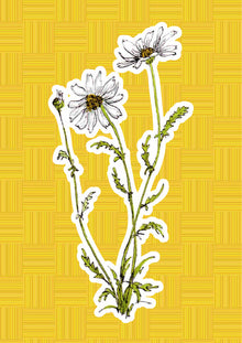 Margherita, personaggio di «I Fiori di Catia n. 1» — illustrazione di Gabriele Rondini per Bookendipity