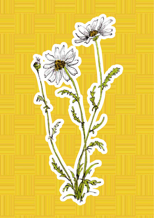 Margherita, personaggio di «I Fiori di Catia n. 1» — illustrazione di Gabriele Rondini per Bookendipity