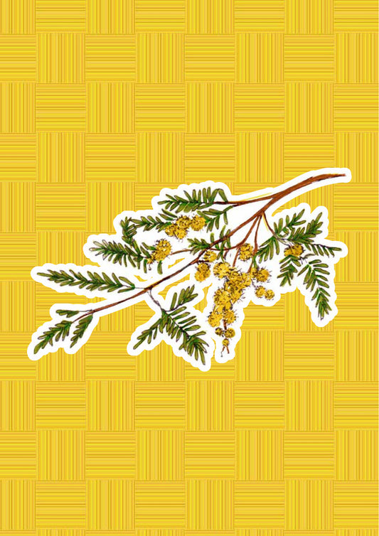 Mimosa, personaggio di «I Fiori di Catia n. 2» — illustrazione di Gabriele Rondini per Bookendipity