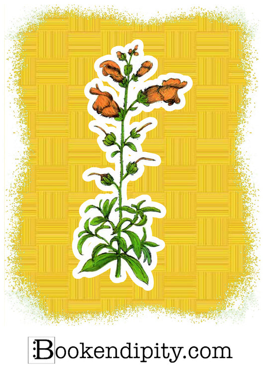 Il MegaMiniPoster con Bocca di Leone, I Fiori di Catia n. 2 — illustrazione di Gabriele Rondini per Bookendipity