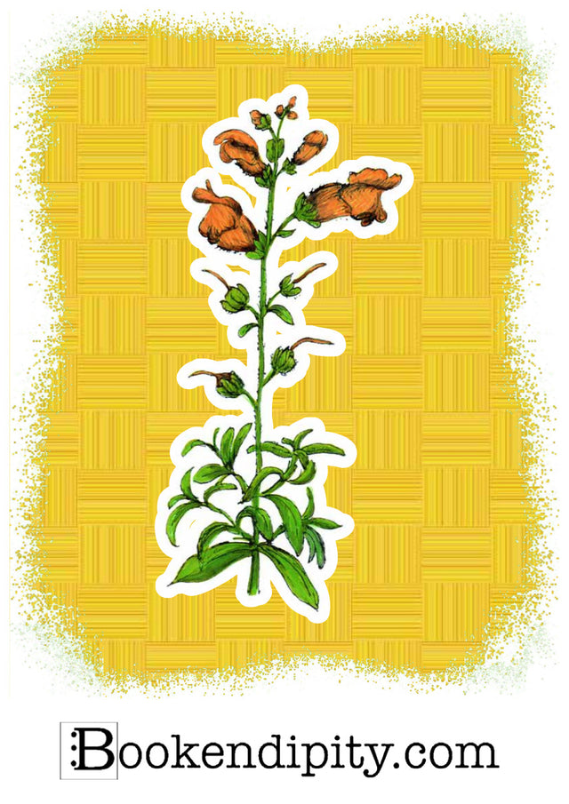 Il MegaMiniPoster con Bocca di Leone, I Fiori di Catia n. 2 — illustrazione di Gabriele Rondini per Bookendipity