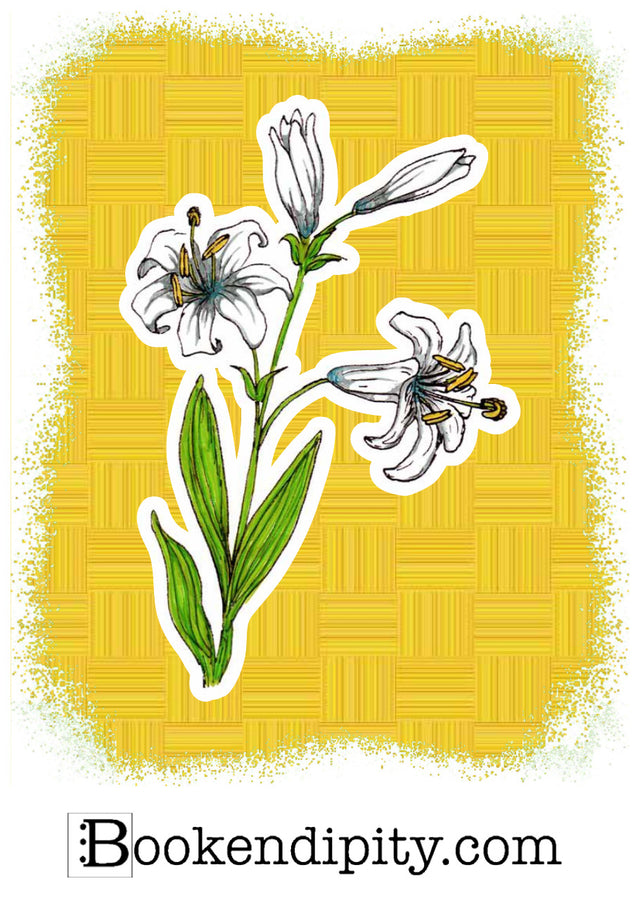Il MegaMiniPoster con Giglio, I Fiori di Catia n. 2 — illustrazione di Gabriele Rondini per Bookendipity