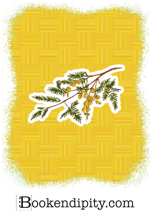 Il MegaMiniPoster con Mimosa, I Fiori di Catia n. 2 — illustrazione di Gabriele Rondini per Bookendipity