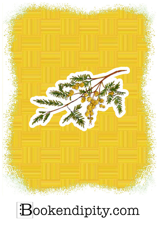 Il MegaMiniPoster con Mimosa, I Fiori di Catia n. 2 — illustrazione di Gabriele Rondini per Bookendipity