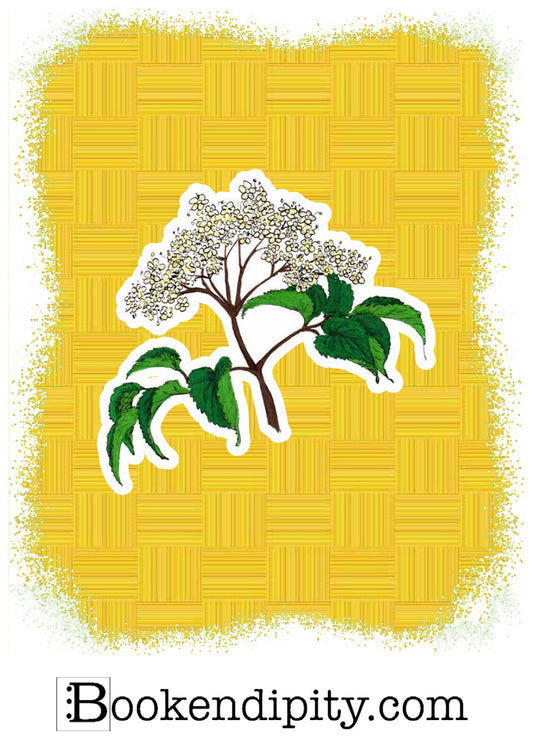 Il MegaMiniPoster con Sambuco, I Fiori di Catia n. 1 — illustrazione di Gabriele Rondini per Bookendipity