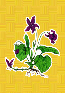 Violetta, personaggio di «I Fiori di Catia n. 2» — illustrazione di Gabriele Rondini per Bookendipity