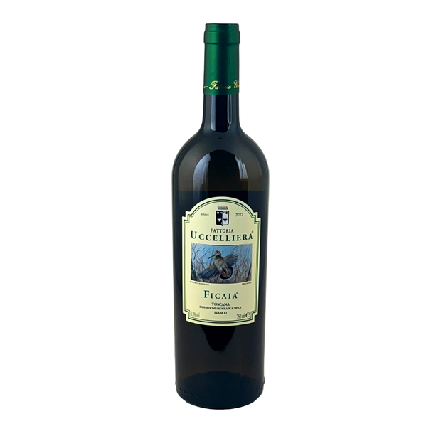 Bottiglia di Ficaia IGT Toscana della Fattoria Uccelliera, vetro verde, su fondo bianco