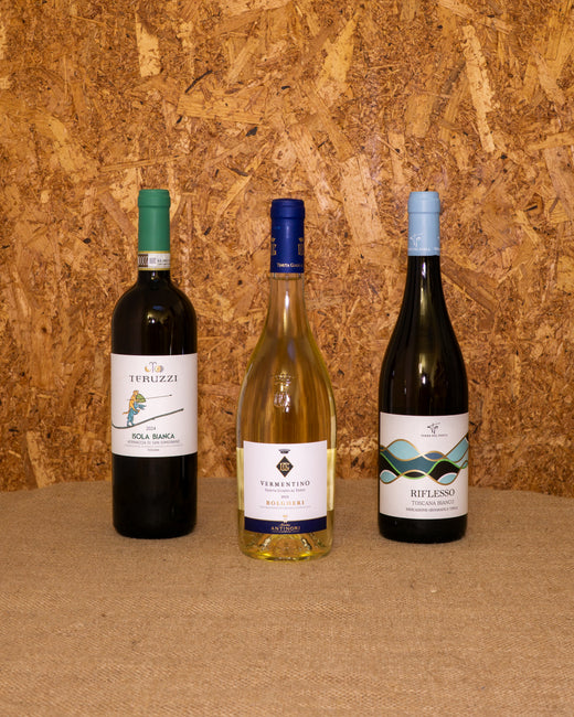 Le 3 bottiglie della selezione «Toscana Bianca» in piedi davanti al fondo del set: Colline Albelle in Bianco, Vernaccia Isola Bianca e Vermentino Bolgheri Guado al Tasso.