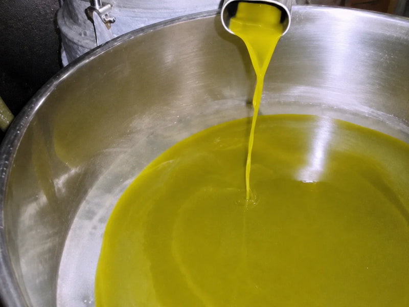 L'olio nuovo che esce dal frantoio