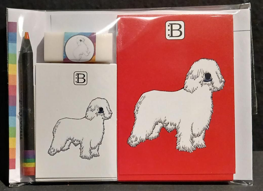 Il kit Leggi & Colora dedicato al Cane, chiuso nella busta: i due taccuini, la matita, il righello e la gomma