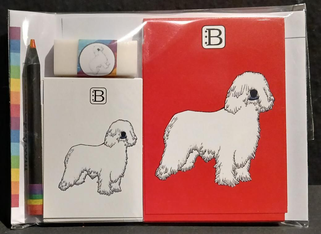 Il kit Leggi & Colora dedicato al Cane, chiuso nella busta: i due taccuini, la matita, il righello e la gomma