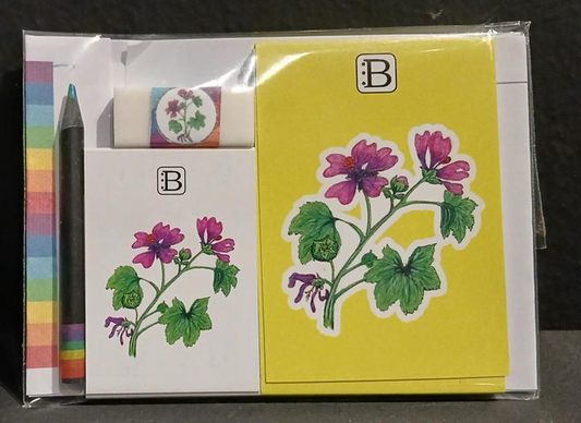 Il kit Leggi & Colora dedicato alla Malva, chiuso nella busta: i due taccuini, la matita, il righello e la gomma