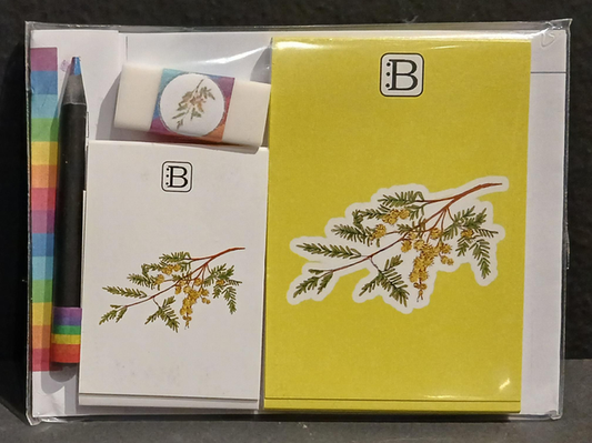 Il kit Leggi & Colora dedicato alla Mimosa, chiuso nella busta: i due taccuini, la matita, il righello e la gomma