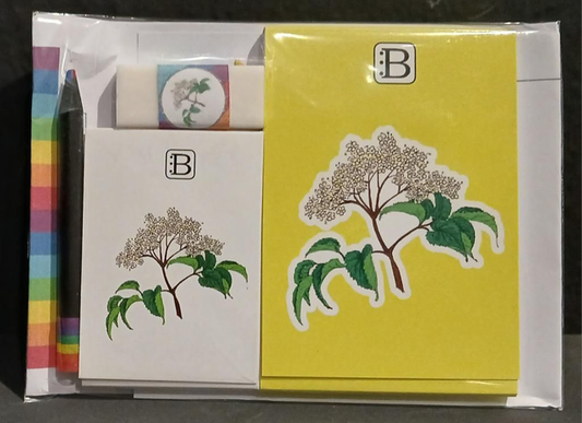 Il kit Leggi & Colora dedicato al Sambuco, chiuso nella busta: i due taccuini, la matita, il righello e la gomma