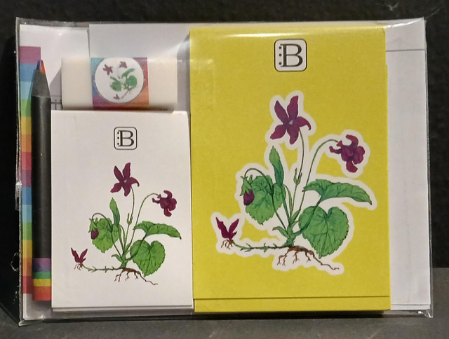 Il kit Leggi & Colora dedicato alla Violetta, chiuso nella busta: i due taccuini, la matita, il righello e la gomma