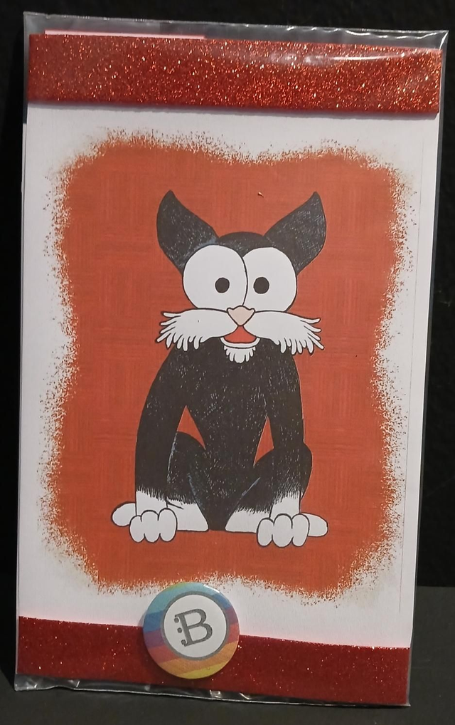 Il quadretto con il Gatto e la spilletta Bookendipity, nella confezione