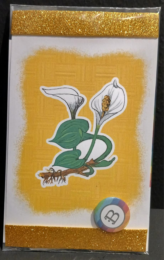 Il quadretto con la Calla e la spilletta Bookendipity, nella confezione