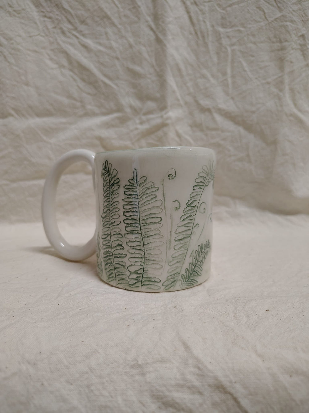 Tazza con le fronde di felce e i riccioli nuovi