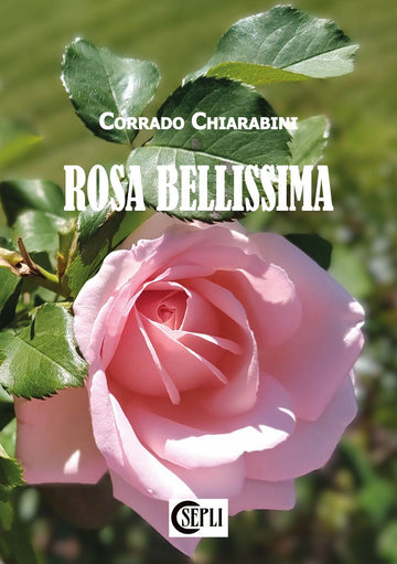 Copertina di Rosa Bellissima