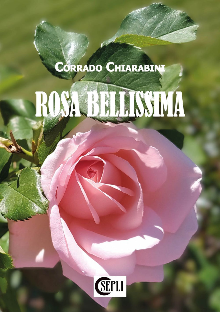 Copertina di Rosa Bellissima