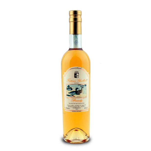 Bottiglia di Brandy della Fattoria Uccelliera, distillato ambrato, su fondo bianco